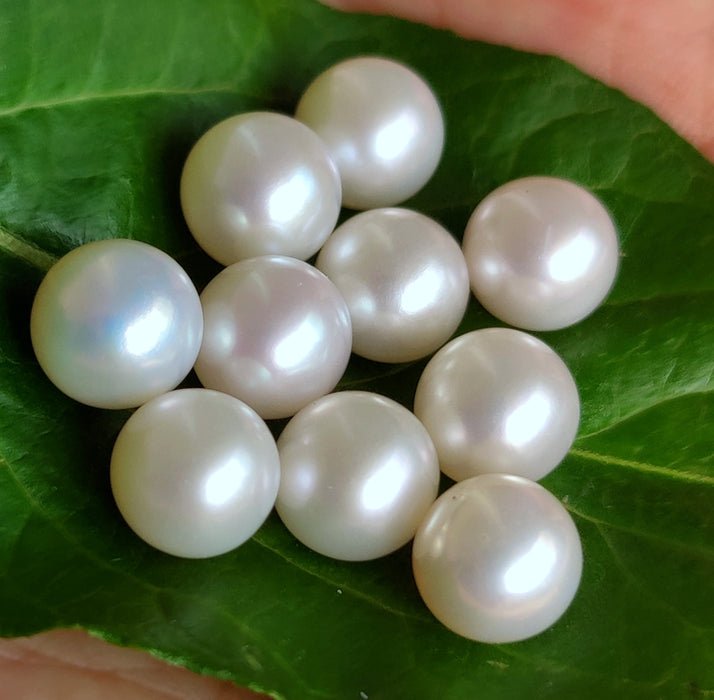 Ivory White Un-drilled Round Genuine Freshwater Pearls No Hole AAA