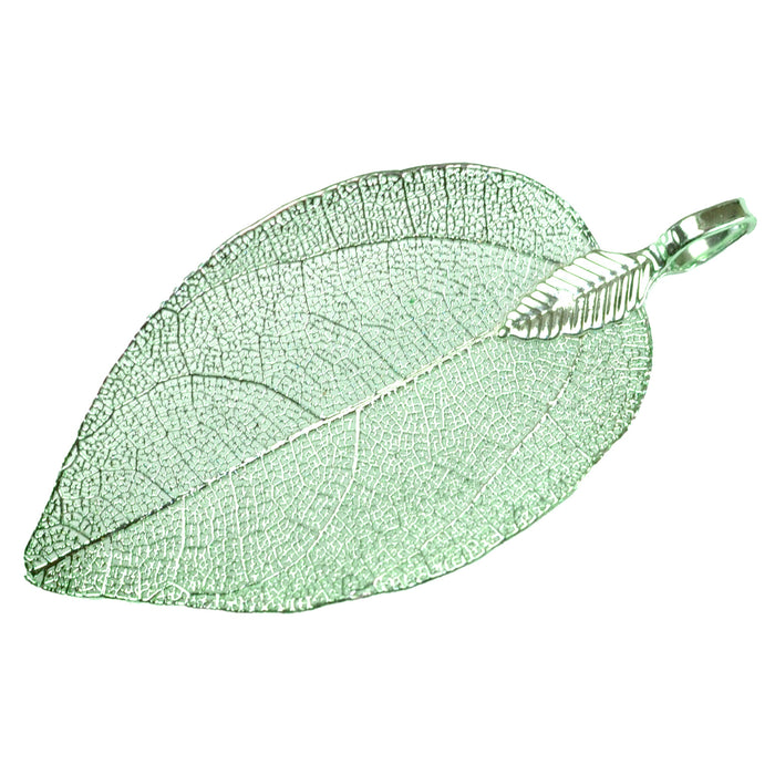 Real Bodhi Leaf Filigree Skeleton Leaves Charms Pendants 30x50 mm