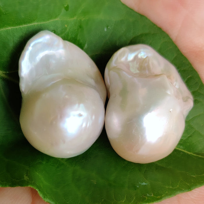 Large White Nucleated Fireball Genuine Freshwater Pearls Half-drilled 1 Pair