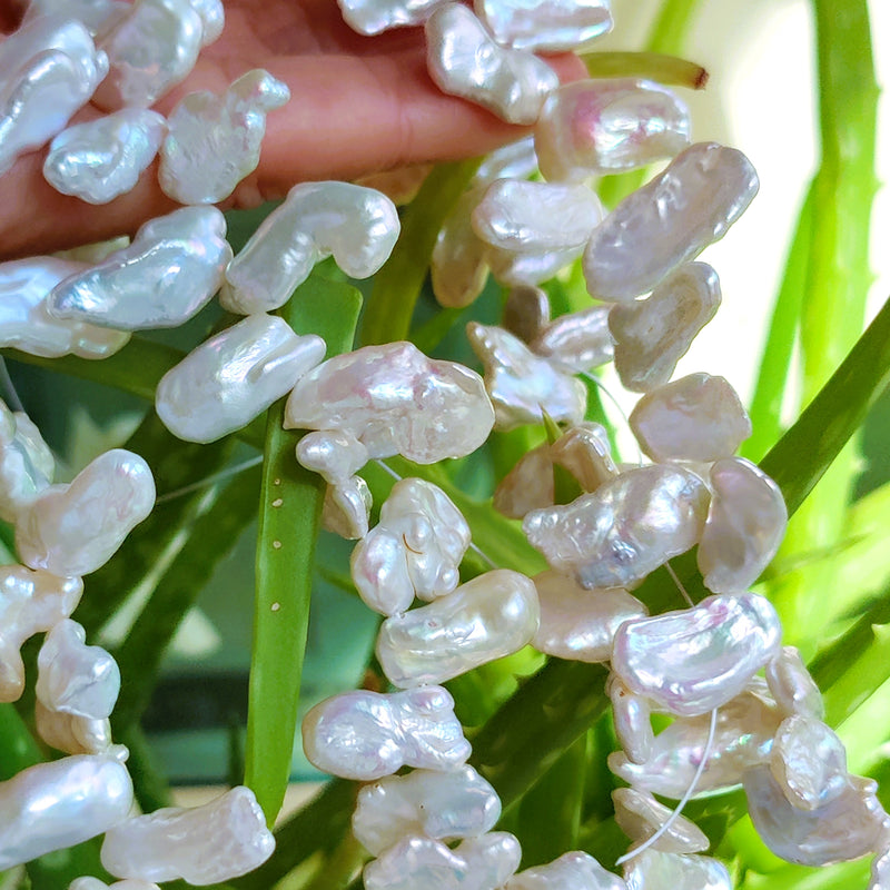 Ivory White Biwa Stick Freshwater Pearls Top-drilled for Jewellery Making A