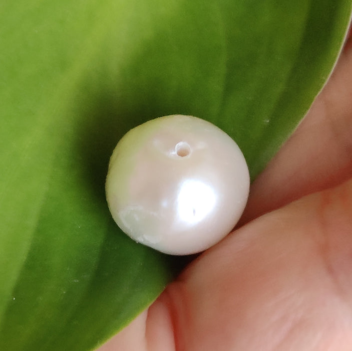 1 x Large Ivory White Half-drilled Round Nucleated Freshwater Pearls 9-11mm