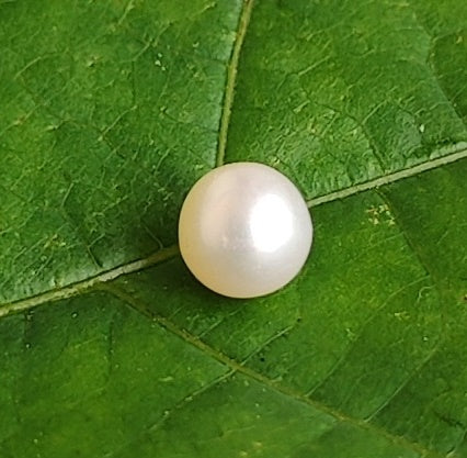 Ivory White Un-drilled Round Genuine Freshwater Pearls No Hole AAA